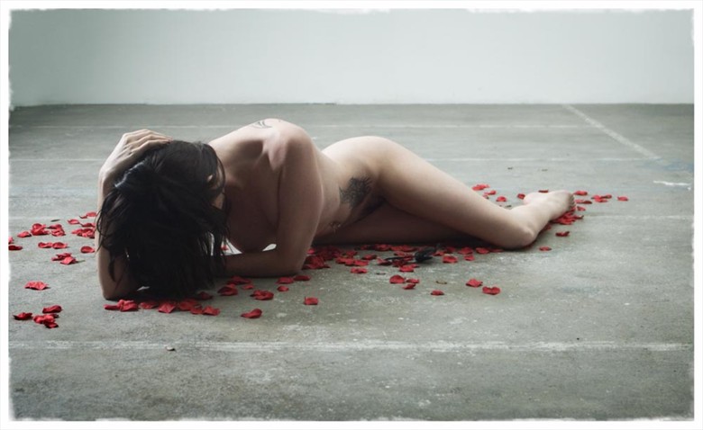 Artistic Nude Photo By Photographer Dave Hunt At Model Society