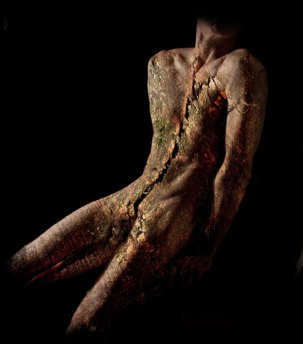 Bark Torso 2 Artistic Nude Artwork By Photographer Dave Hunt At Model