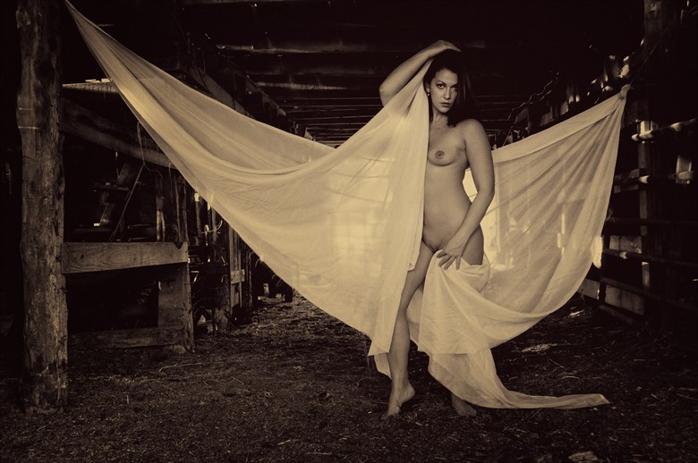 Barn Artistic Nude Photo By Photographer J Welborn At Model Society