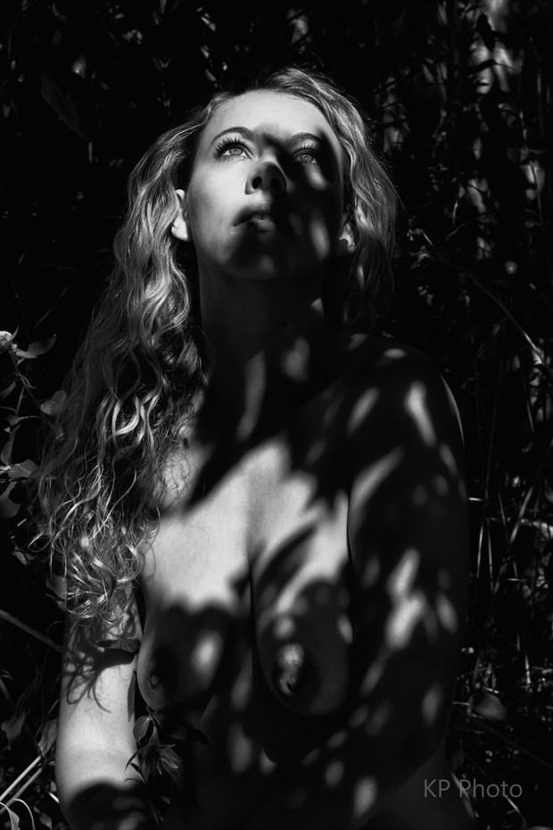 Buried Lights Artistic Nude Photo By Model Riccella At Model Society