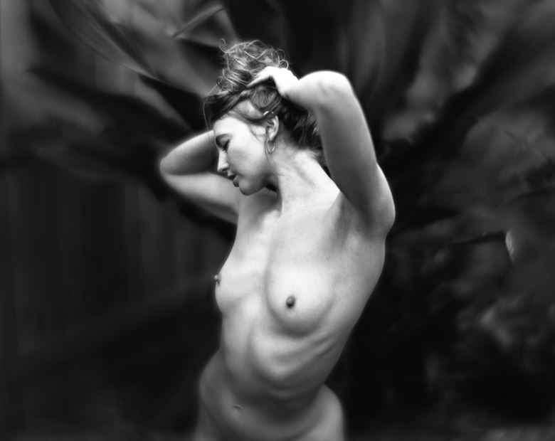 Artistic Nude Erotic Photo By Photographer Dwayne Martin At Model Society