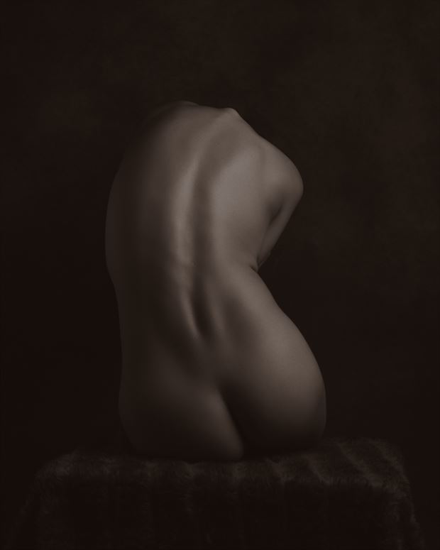 Artistic Nude Figure Study Photo By Photographer Aj Kahn At Model Society