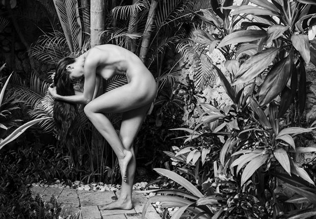 Photographer Lonnie Tate Nude Art And Photography At Model Society