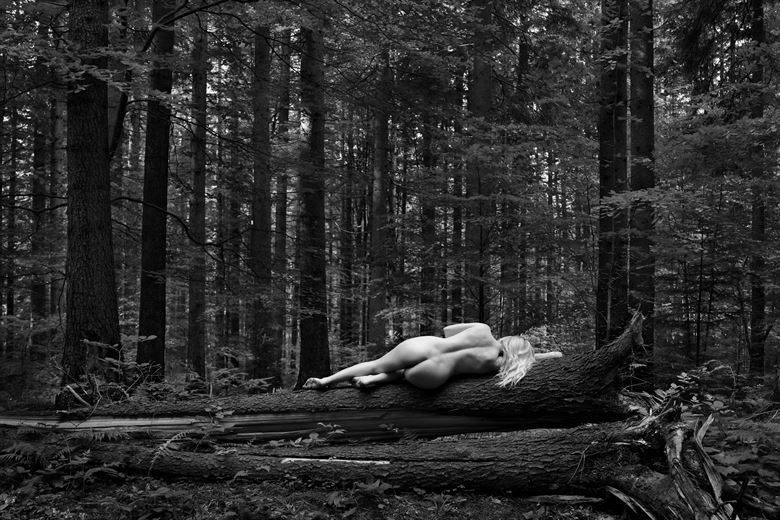 Artistic Nude Nature Photo By Photographer Kuti Zoltan Hermann At Model