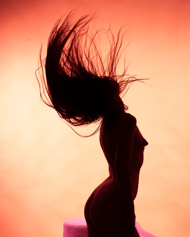 Artistic Nude Silhouette Photo By Model Aferlysunflower At Model Society