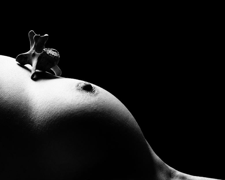 Asimira Iliac 8 Artistic Nude Photo By Photographer Jan Karel Kok At