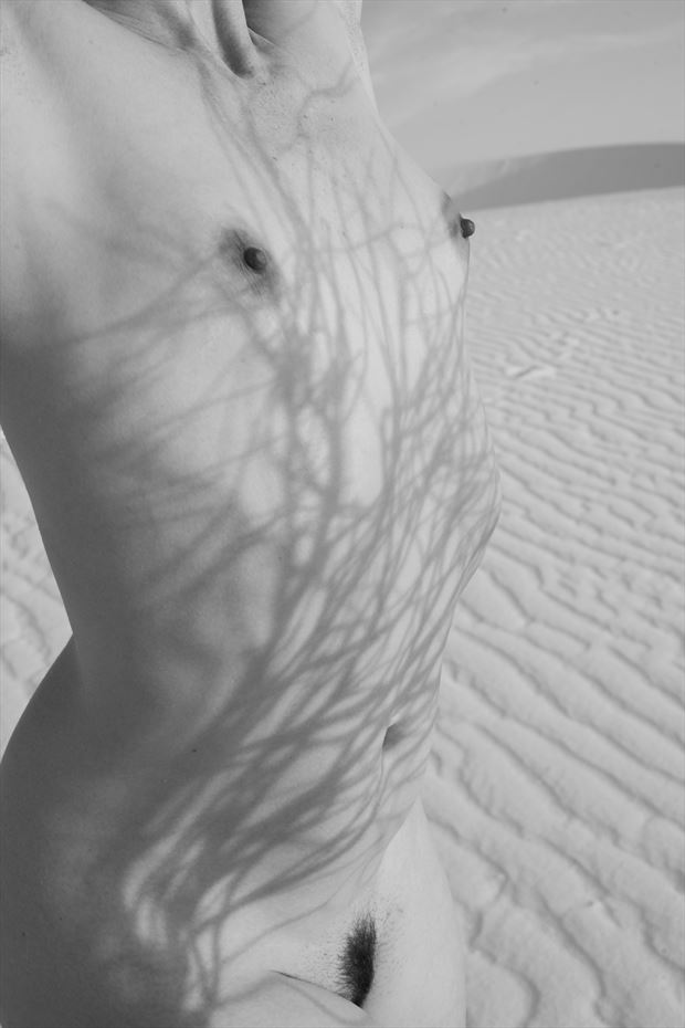 Branch Shadow Artistic Nude Artwork By Photographer Gsphotoguy At Model