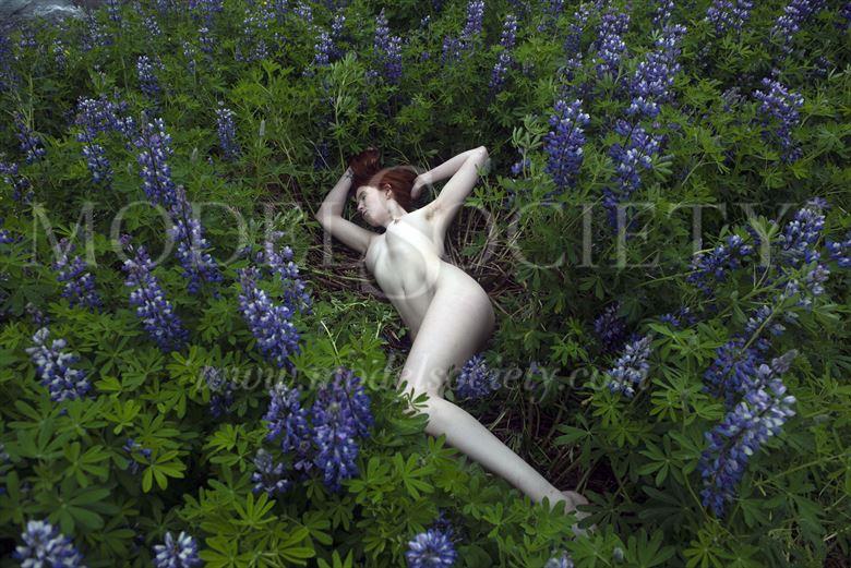 Iceland Series Artistic Nude Photo By Photographer Linda Hollinger At