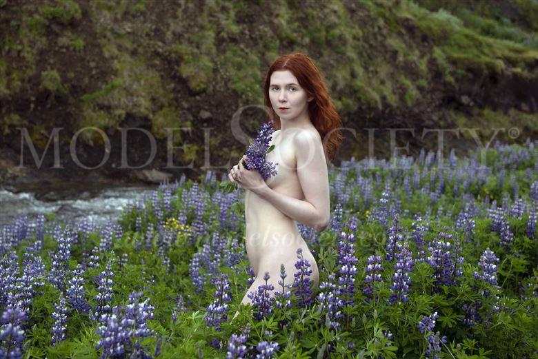 Iceland Series Artistic Nude Photo By Photographer Linda Hollinger At