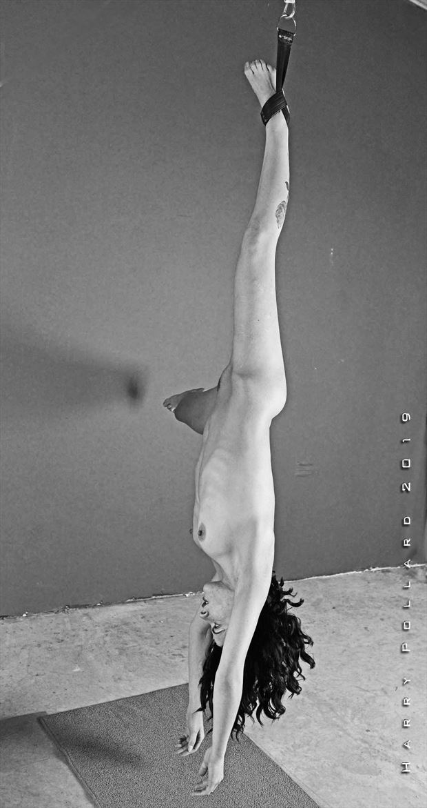 Marla Suspension Artistic Nude Photo By Photographer Shootist At Model