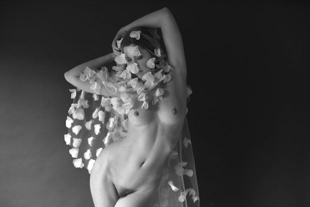 Photographer Linda Hollinger Nude Art And Photography At Model Society