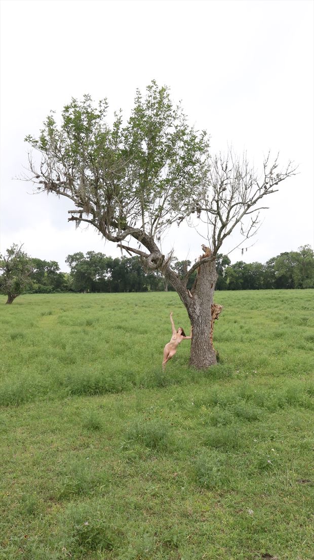 Tree Artistic Nude Photo By Photographer Comet Photos At Model Society