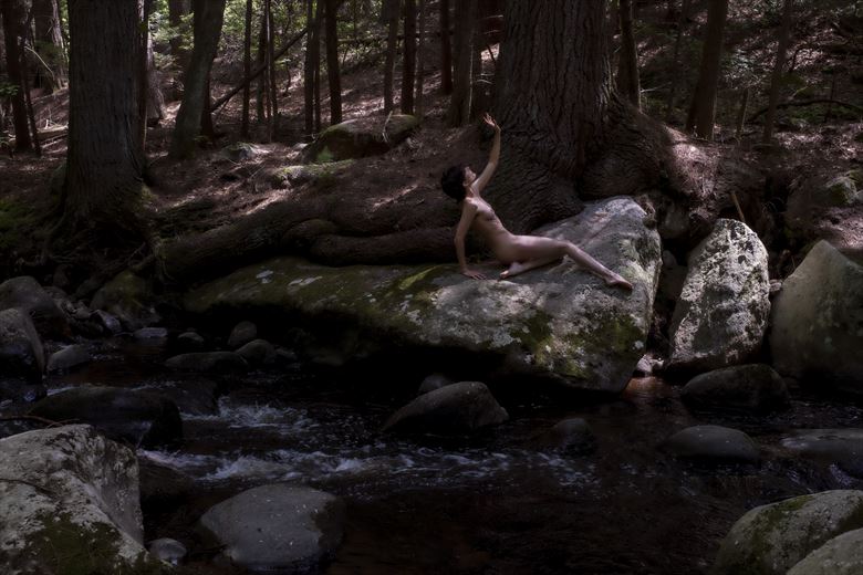 Woodland Roarie Artistic Nude Photo By Artist Kevin Stiles At Model Society