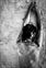 Flavio Morais Photographer