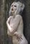 Wild Art Photography