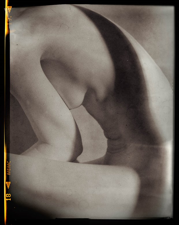 %23199 Artistic Nude Photo by Photographer Gregory Garecki