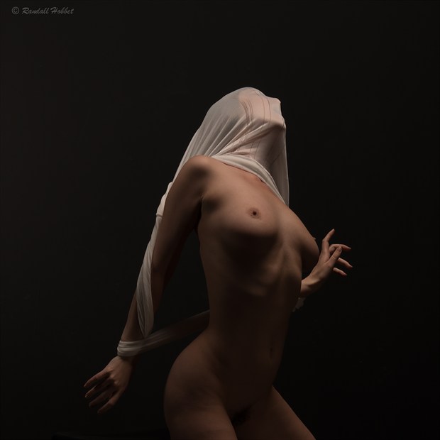 (Un)covered Artistic Nude Photo by Photographer Randall Hobbet