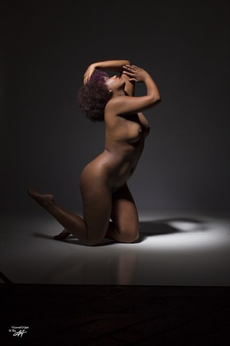    P D S.R Artistic Nude Artwork by Photographer VisualVibe