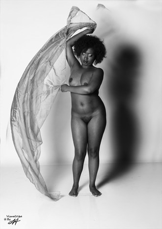    P D S.R Artistic Nude Artwork by Photographer VisualVibe