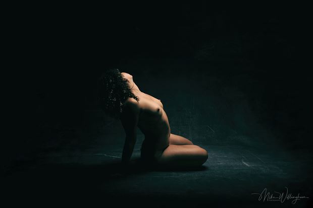  7255 artistic nude photo by photographer mike willingham