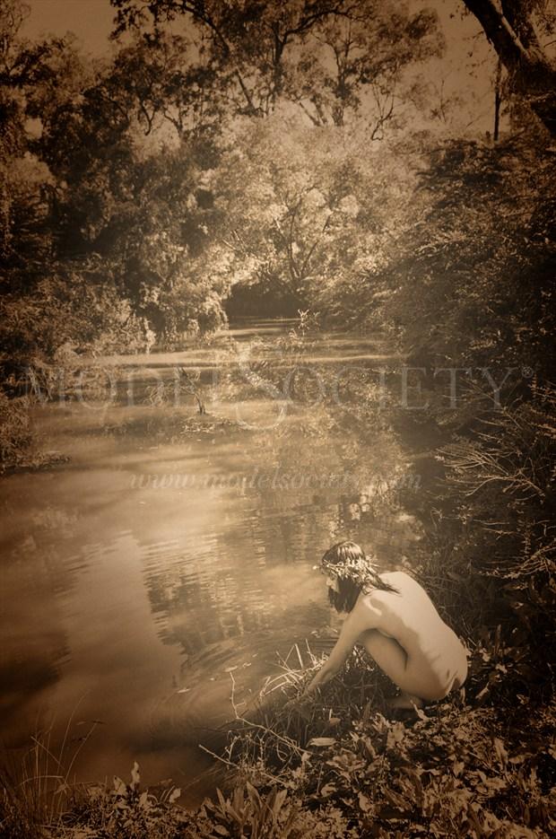  In A Tree By The Brook There's A Songbird Who Sings Artistic Nude Photo by Photographer Rowanmacs 