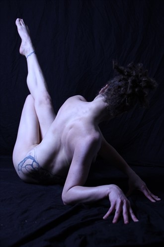  This is a Pos Artistic Nude Artwork by Photographer Lavaughn
