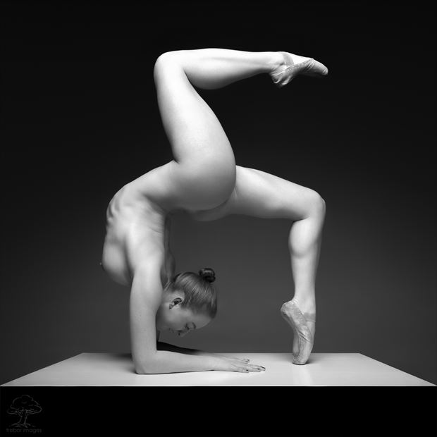  beauty and balance artistic nude photo by photographer bob walker pursley