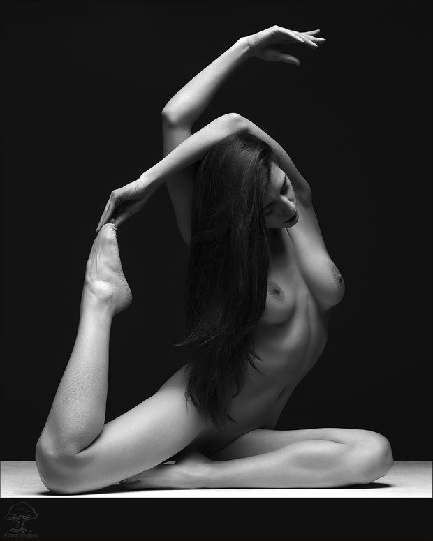  beauty and grace artistic nude photo by photographer bob walker pursley