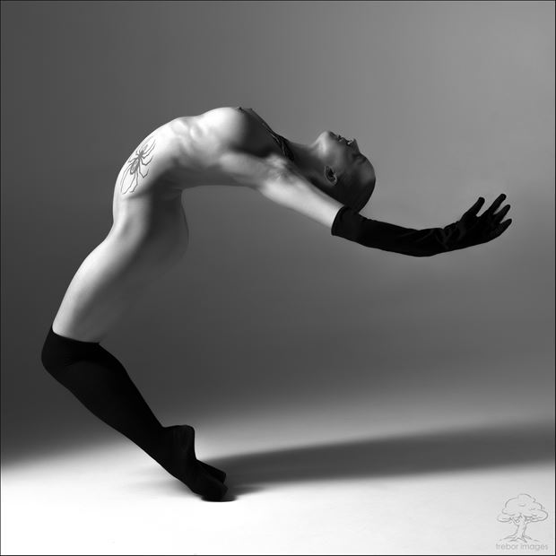  falling for you artistic nude photo by photographer bob walker pursley