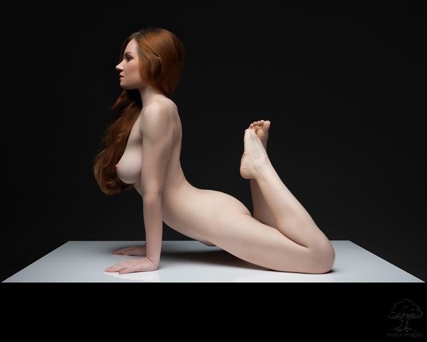  focus artistic nude photo by photographer bob walker pursley