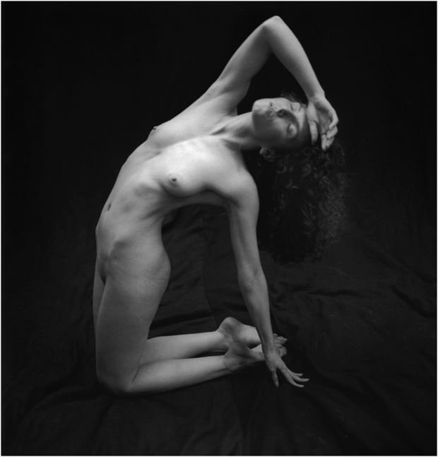  lucidlymad artistic nude photo by photographer cheshire scott