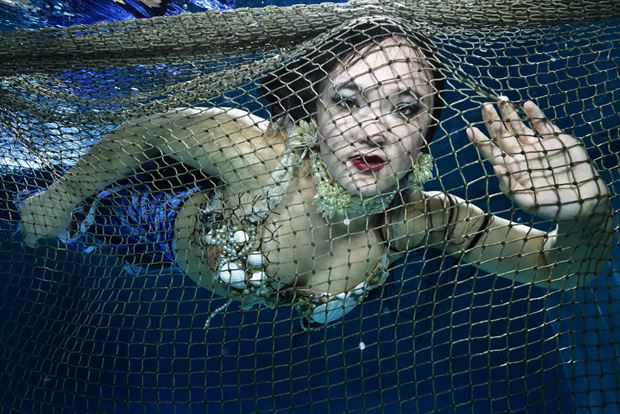  netting a mermaid fantasy photo by photographer mstr