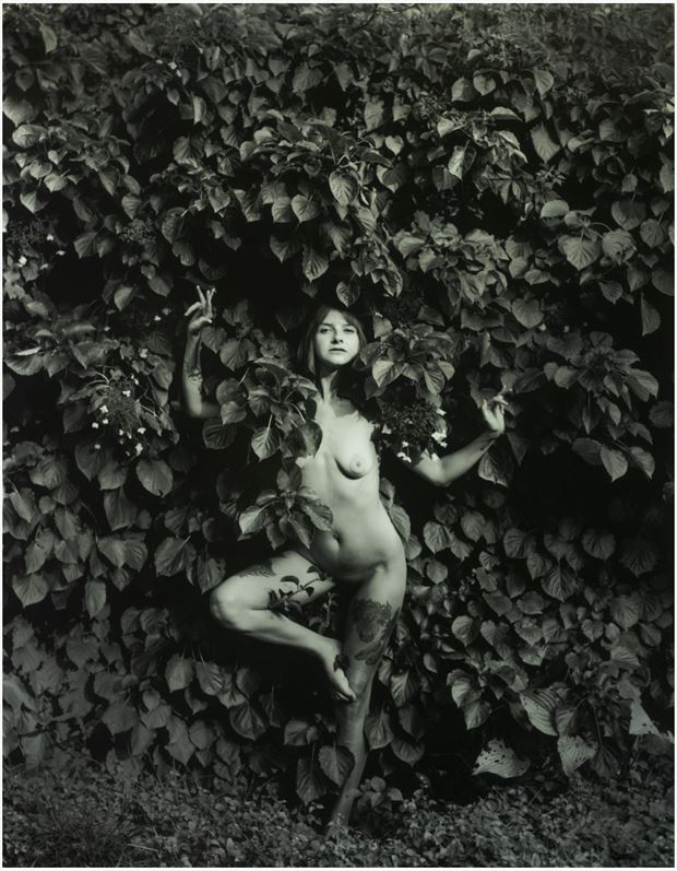  tay_la_vie_ artistic nude photo by photographer cheshire scott