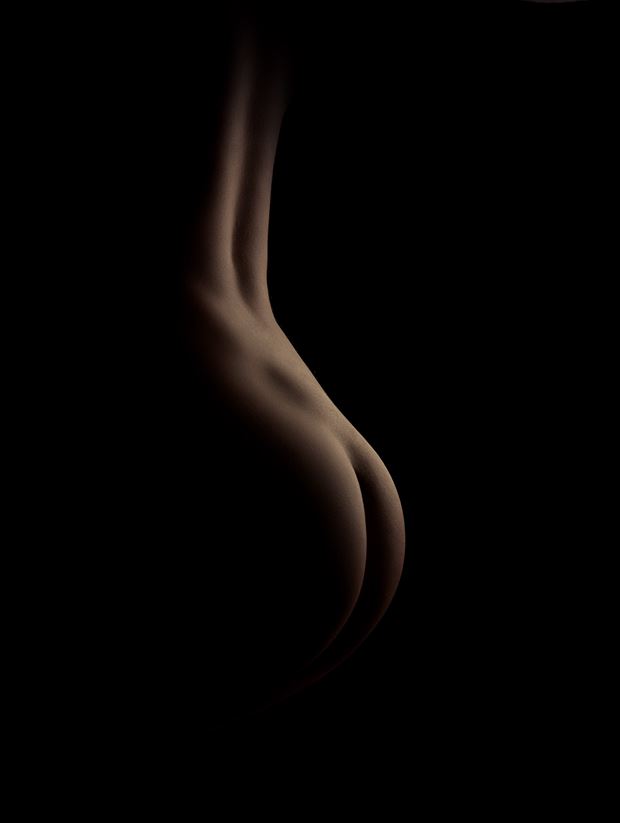  the dimple artistic nude photo by photographer bodyscapesdk