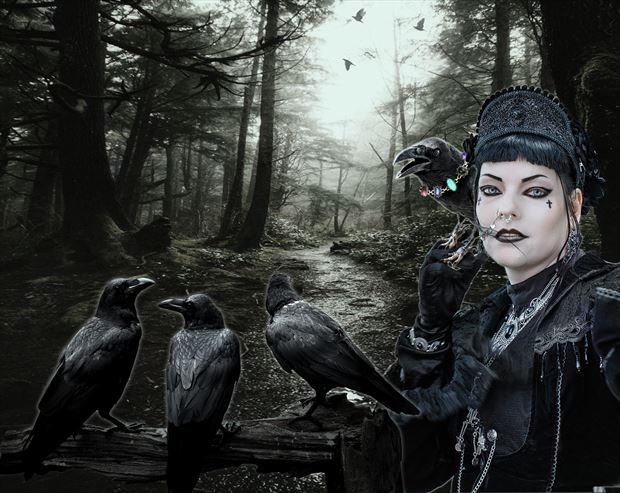  the raven caretaker fantasy artwork by artist karinclaessonart