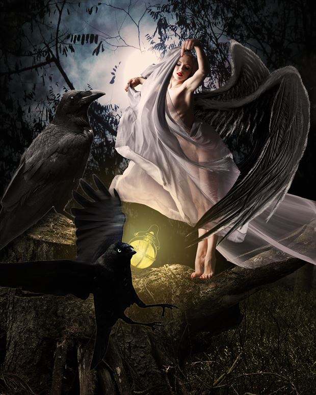  the raven dancer fantasy artwork by artist karinclaessonart
