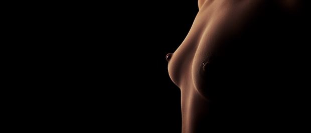  the torso artistic nude photo by photographer bodyscapesdk