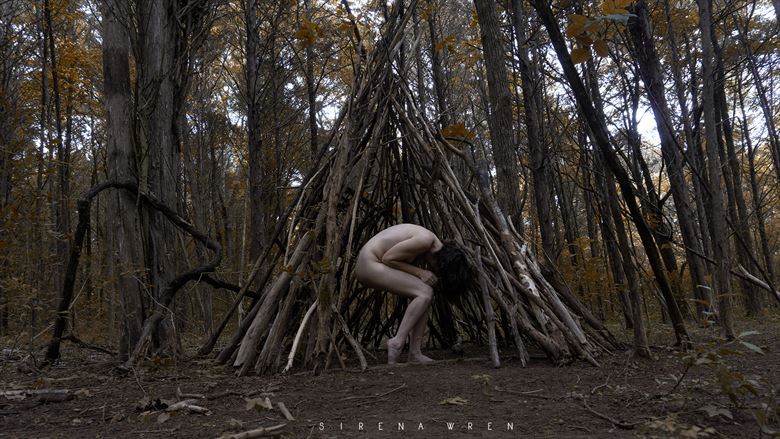  wilted artistic nude photo by model sirena e wren