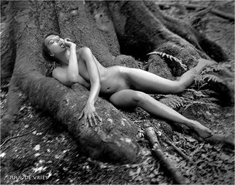 100 year old tree artistic nude photo by model sabamodel