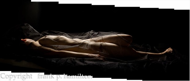 2008_02_24_Pano1 Artistic Nude Photo by Photographer PhotoFrank
