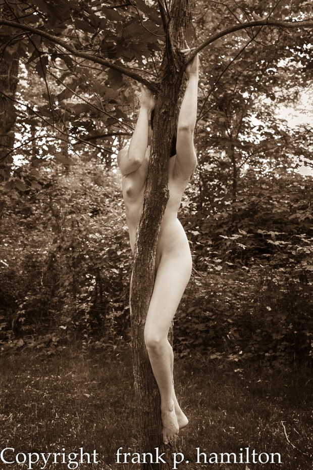 20112_05_27_Z_189 Artistic Nude Photo by Photographer PhotoFrank