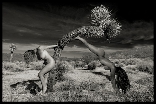 2014   Rosie and Ceara, Joshua Tree Artistic Nude Photo by Photographer R. Michael Walker