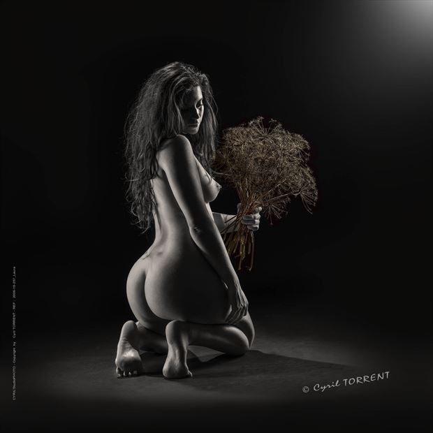 257 laura artistic nude artwork by photographer cyril torrent