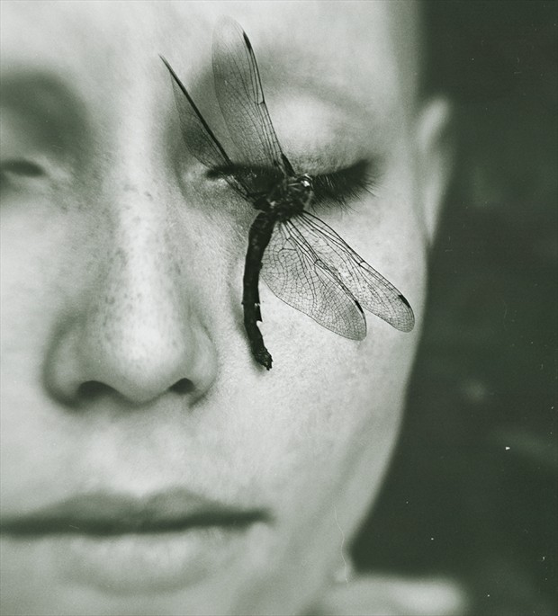 A Dragonfly's Death Surreal Photo by Photographer Natalia Drepina