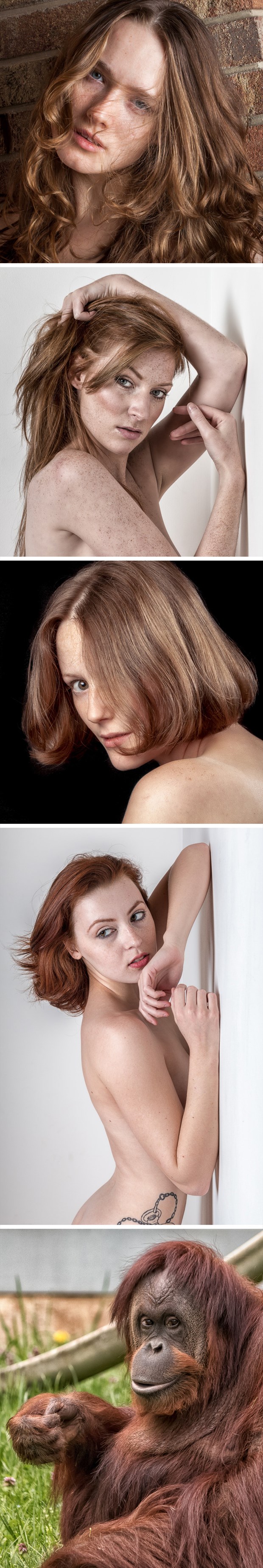 A Few of my Favorite Redheads Studio Lighting Photo by Photographer rick jolson