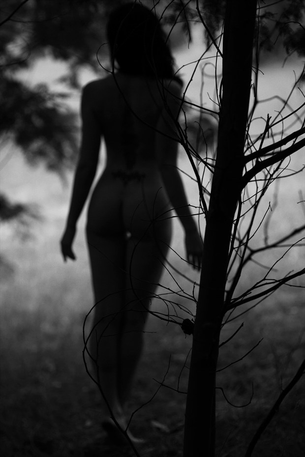 A Fleeting moment in time Artistic Nude Photo by Photographer Michael Jenkins