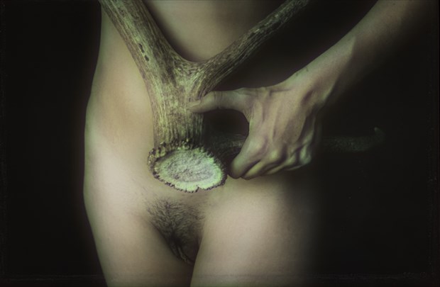 A Portrait Artistic Nude Photo by Photographer jeffrey m fletcher