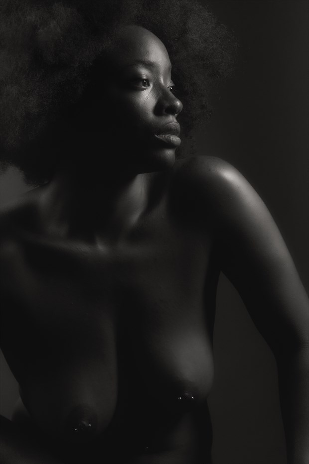A Regal Profile Artistic Nude Photo by Photographer Excelsior