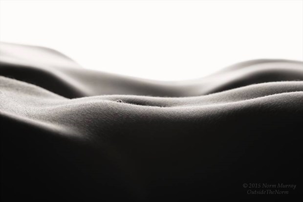 A Sea Of Skin Artistic Nude Photo by Model Jasmine