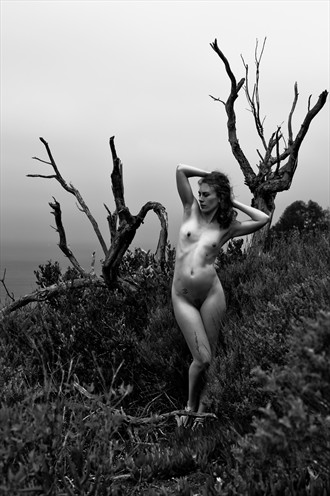 A Soft Wind Artistic Nude Photo by Model stephanieleet